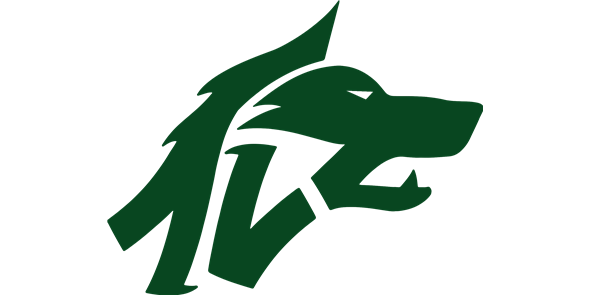 Avellino Basket: battuta Livorno in casa